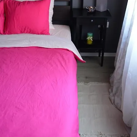 Bed Spring Awakening *