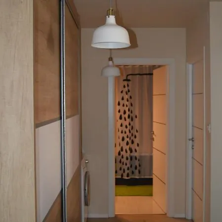Bed Spring Awakening Apartment
